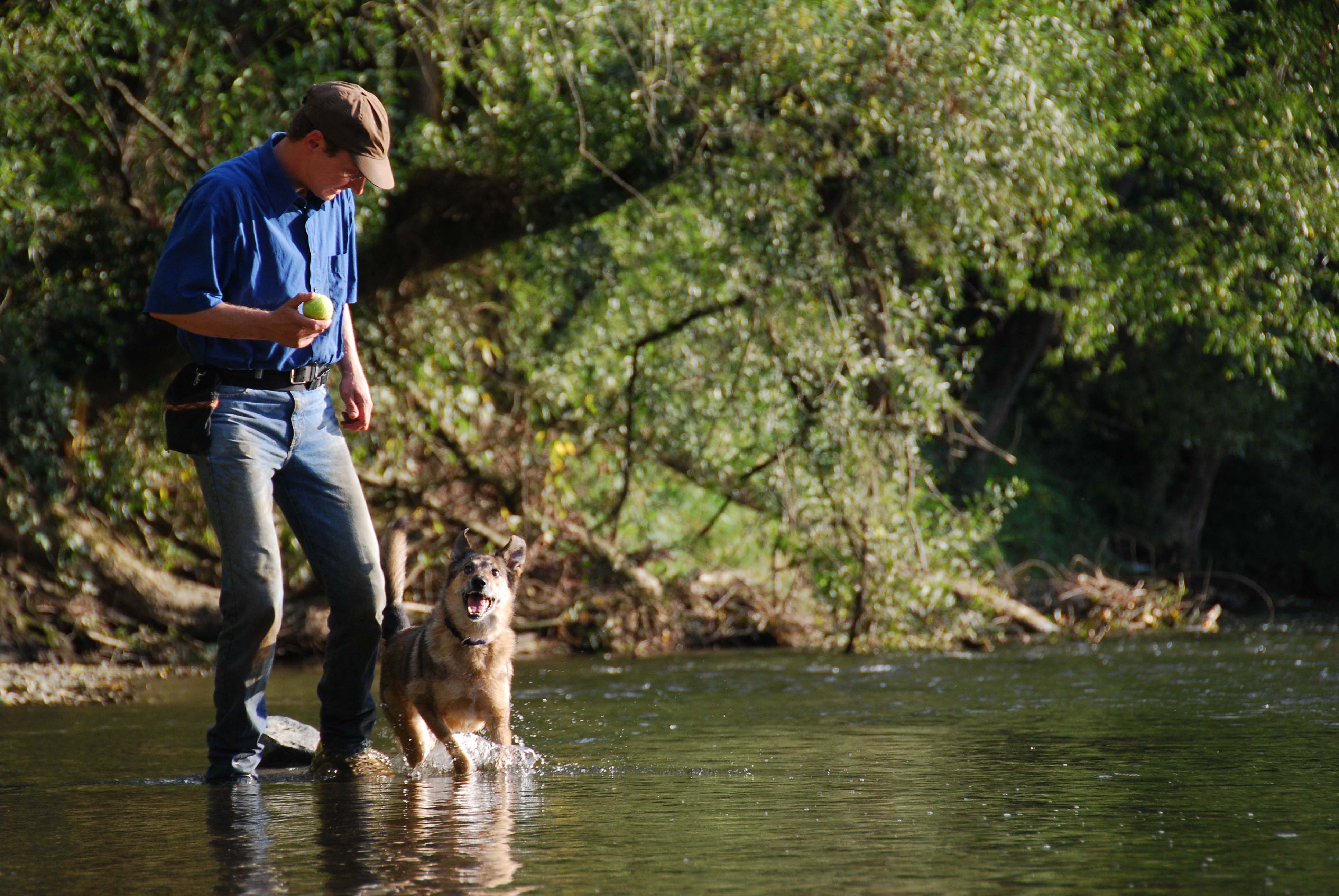 Leinenf�hrigkeit Abenteuer Hunde